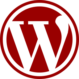 Bruneza Skills - WordPress